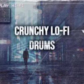 Toolbox Samples Crunchy Lo-Fi Drums (Premium)