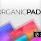 UVI Falcon Expansion Organic Pads v1.0.0 (Premium)