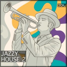 Deep Data Loops Jazzy House 2 (Premium)