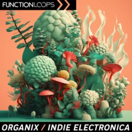 Function Loops Organix Indie Electronica (Premium)