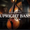 Native Instruments Session Bassist Upright Bass KONTAKT (Premium)