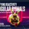 Newline – Demystifying Reactivity with Angular Signals (Premium)