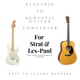 PastToFutureReverbs Electric To Acoustic Guitar Converter (Premium)