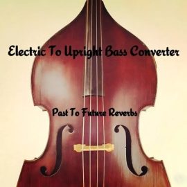 PastToFutureReverbs Electric to Upright Bass Converter! (Premium)