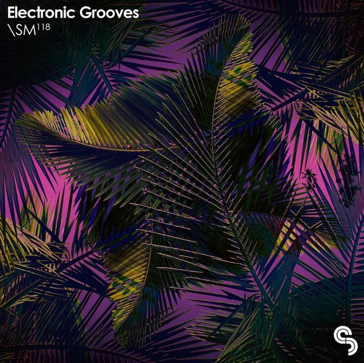 Sample Magic Electronic Grooves