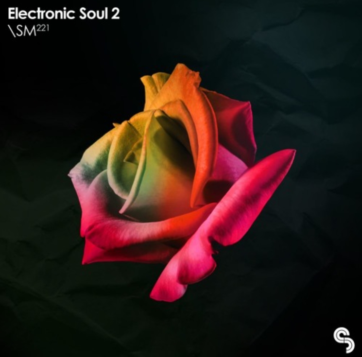 Sample Magic Electronic Soul 2