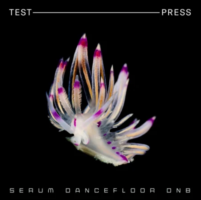 Test Press Serum Dancefloor DnB
