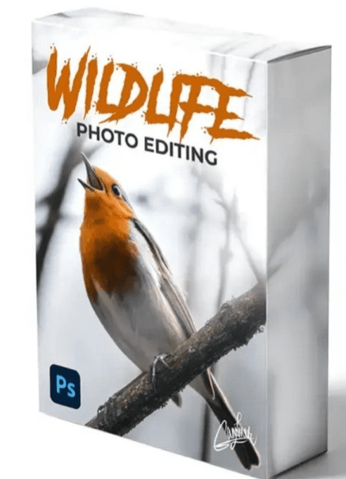Zenja Gammer – Wildlife Photo Editing Course