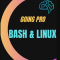 Linux and Bash: Going Pro (Premium)